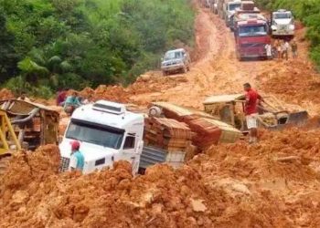 Este mês de abril será decisivo para a BR-319