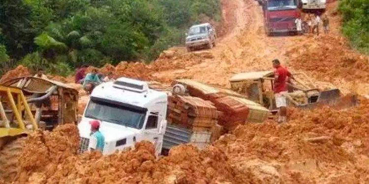 Este mês de abril será decisivo para a BR-319