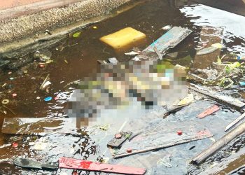 Vídeo forte. Cadáver é encontrado sem cueca boiando no Educandos