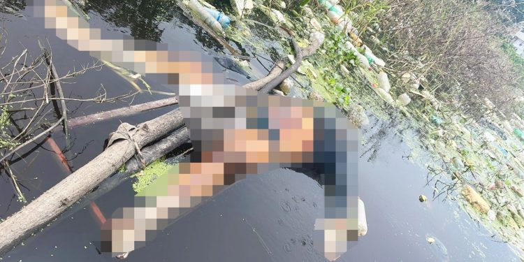 Só de cueca e blusa, corpo é encontrando boiando em igarapé  .Vídeo forte