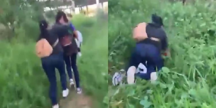 "Vai falar de novo?": 'Ruivinha' é levada pelos cabelos para apanhar da rival em Manacapuru; VÍDEO