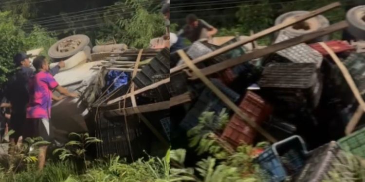 Motorista estava bêbado quando capotou e ficou preso às farragens na Cidade Nova