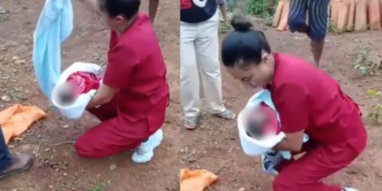 Vídeo: Morre recém-nascido que foi abandonado e atacado por cães