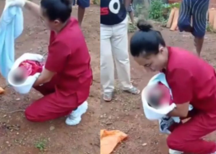 Vídeo: Morre recém-nascido que foi abandonado e atacado por cães