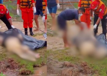 Corpo apodrecendo é encontrado boiando em lago por moradores de Tefé