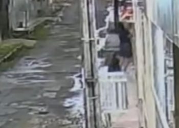 Câmera mostra pitbull atacando cachorrinho que passeava com a dona no Japiim