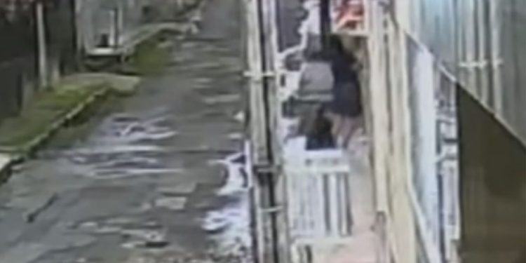 Câmera mostra pitbull atacando cachorrinho que passeava com a dona no Japiim