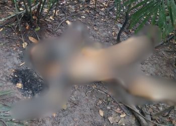 Veja como estava homem que foi encontrado em decomposição no Santa Etelvina