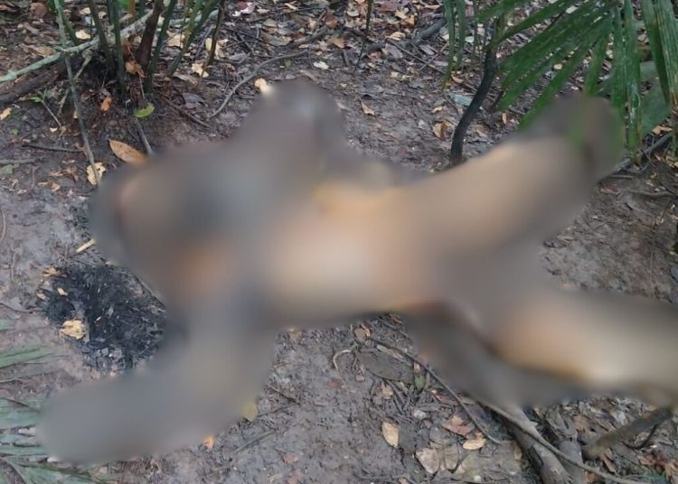 Veja como estava homem que foi encontrado em decomposição no Santa Etelvina