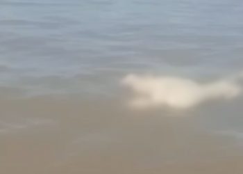 vídeo mostra corpo boiando no rio em Manacapuru