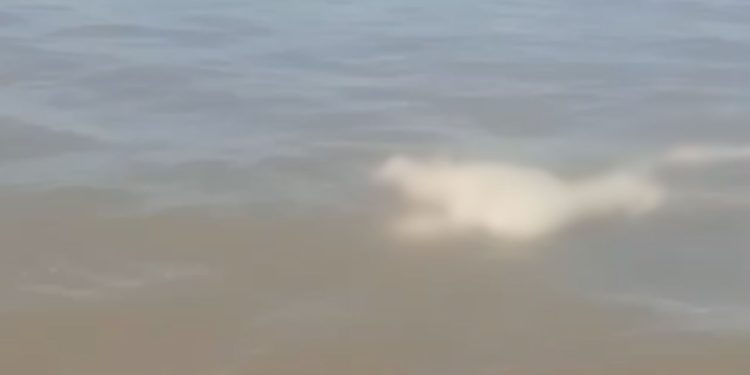 vídeo mostra corpo boiando no rio em Manacapuru