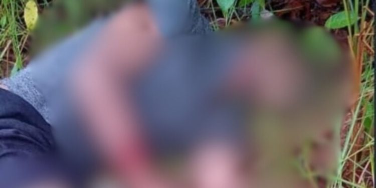 'Pequeno' é achado tomado por tiros após ser jogado por 'carro preto' em ramal no AM