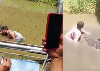 Vídeo: Tentativa de tirar ‘selfie’ com crocodilo termina com ataque brutal em zoológico