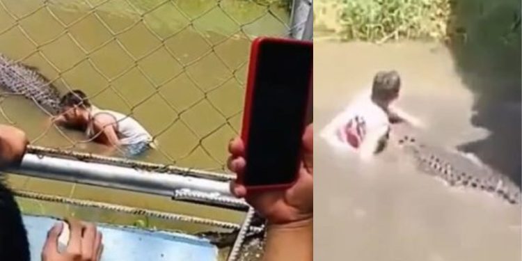 Vídeo: Tentativa de tirar ‘selfie’ com crocodilo termina com ataque brutal em zoológico