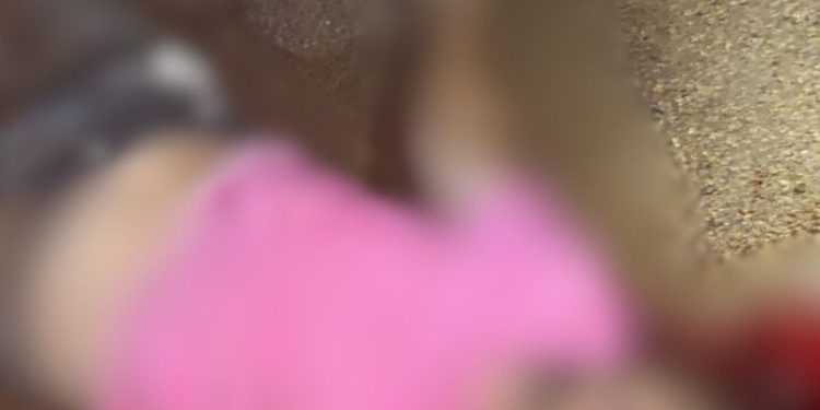 Motociclista morre após bater a cabeça em acidente no interior do Amazonas; vídeo