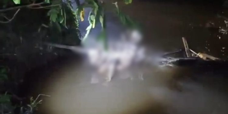 Deg0lado, homem é encontrado morto dentro de igarapé no Santa Etelvina