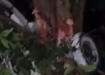 Passageiros entram em pânico após lancha bater em troco de árvore. Veja o vídeo