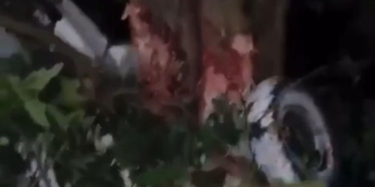 Passageiros entram em pânico após lancha bater em troco de árvore. Veja o vídeo