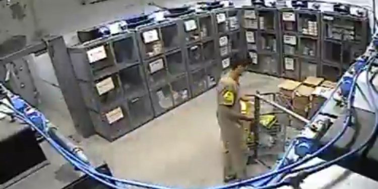 Fanático por apostas confessa ter furtado R$ 130 mil de empresa para jogar, segundo delegado. Veja o vídeo