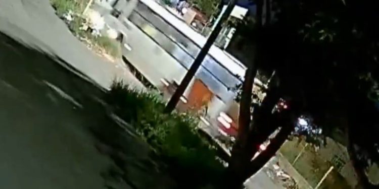 Dormiu e colidiu ônibus em árvore