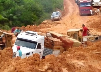 ONGs contrárias à pavimentação da BR-319 já embolsaram mais de R$ 2,4 bilhões