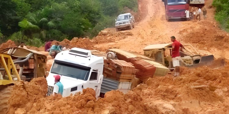 ONGs contrárias à pavimentação da BR-319 já embolsaram mais de R$ 2,4 bilhões