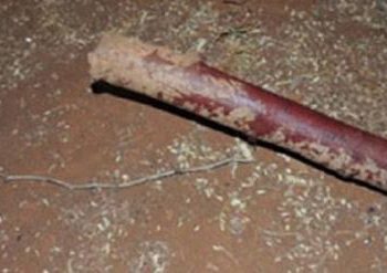 Pegou paulada na cabeça e denunciou o marido agressor