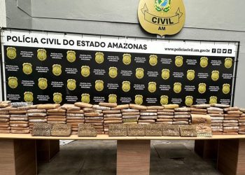 Grande apreensão – 150 kg de maconha  foram encontrados em uma casa
