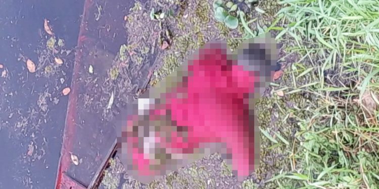 Cadáver emerge das águas do Rio Miriti