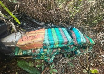 Prejuízo para os traficantes! R$ 17 milhões em drogas são apreendidas