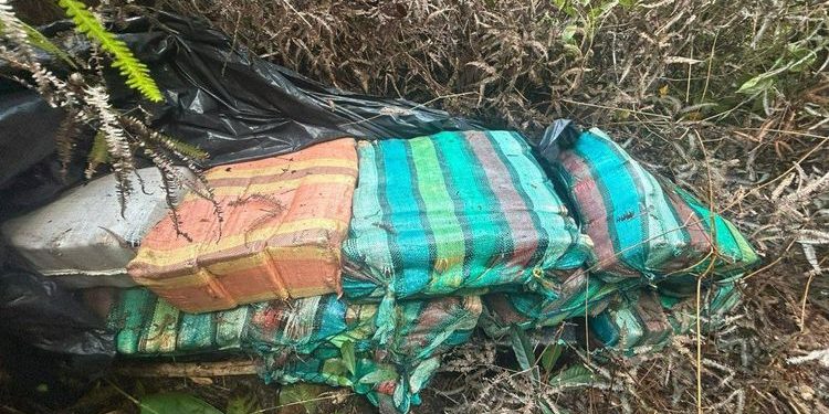 Prejuízo para os traficantes! R$ 17 milhões em drogas são apreendidas