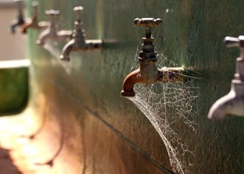 Domingo no deserto! Águas de Manaus decreta “Dia de Camelo” em vários bairros.