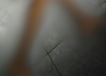 Veja: Em Paricatuba, homem é achado de cueca 'pipocado' de tiros