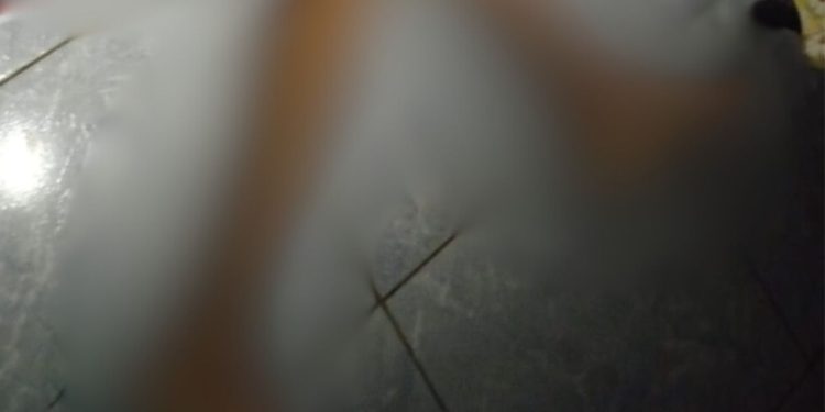 Veja: Em Paricatuba, homem é achado de cueca 'pipocado' de tiros