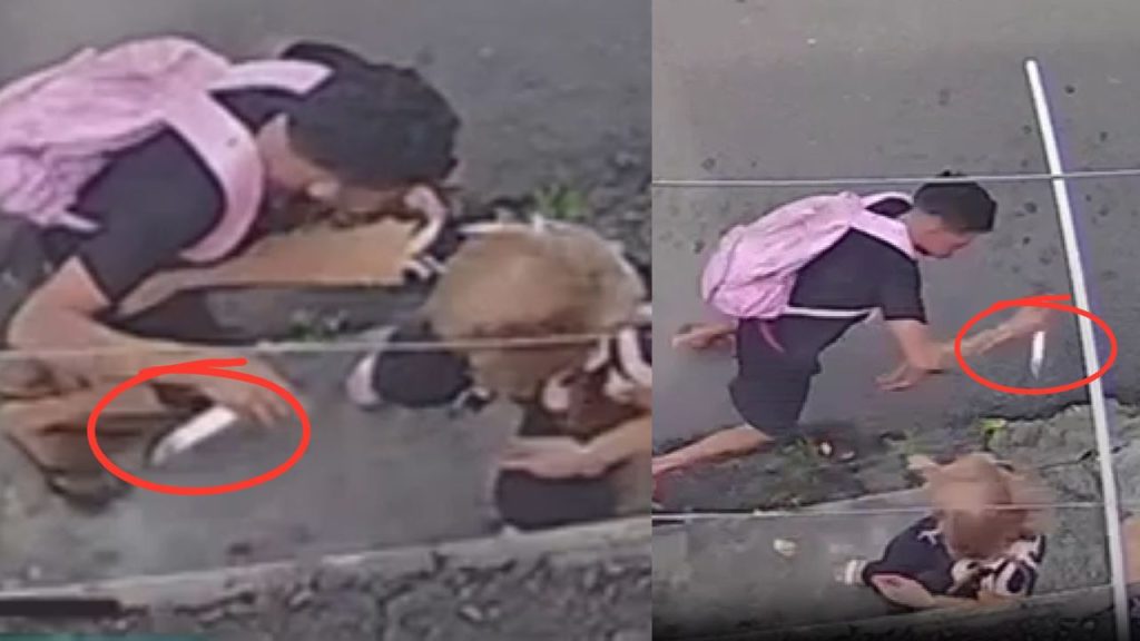 Por pouco idosa não é esfaqueada nas costas durante assalto em Manaus