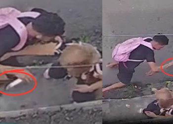 Por pouco idosa não é esfaqueada nas costas durante assalto em Manaus