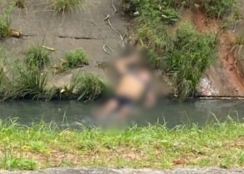 Veja: Após barraco em bar, homem é morto a pauladas e jogado em igarapé na Cachoeirinha