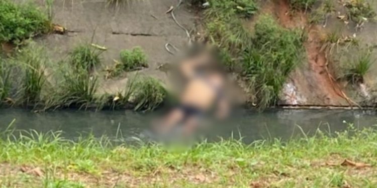 Veja: Após barraco em bar, homem é morto a pauladas e jogado em igarapé na Cachoeirinha