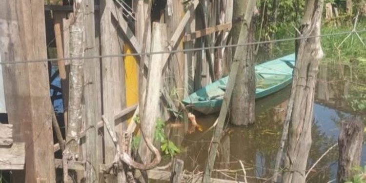 Ao manusear canoa, idoso de 68 anos morre eletrocutado e é achado debaixo d’água no Amazonas