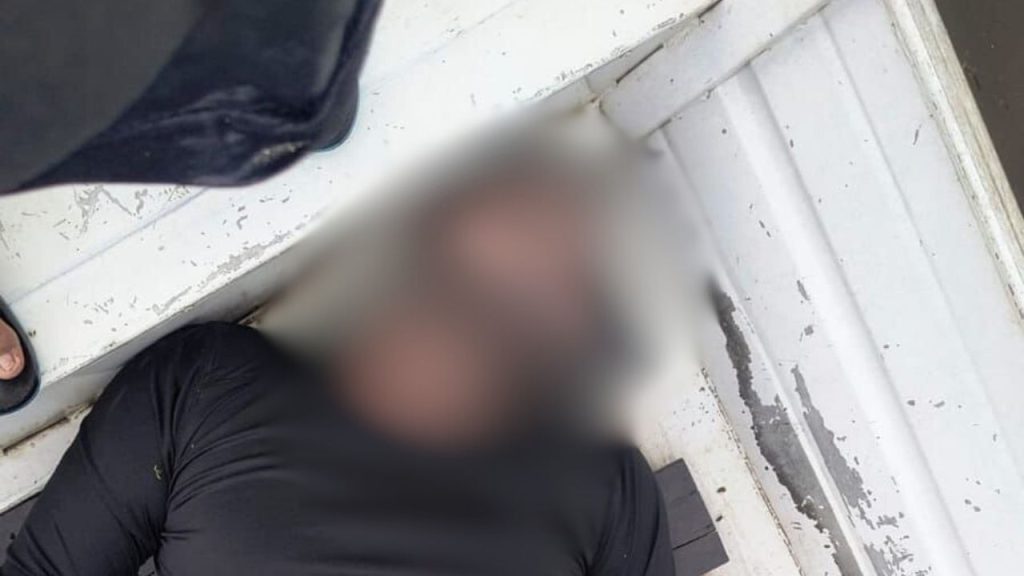 Ataque de abelhas africanas mata homem em comunidade no interior Amazonas