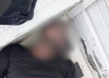 Ataque de abelhas africanas mata homem em comunidade no interior Amazonas