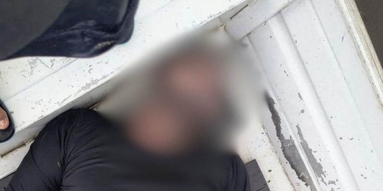 Ataque de abelhas africanas mata homem em comunidade no interior Amazonas