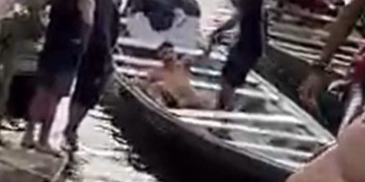 Acusado de cometer furtos em Tefé chora pedindo desculpas dentro de canoa