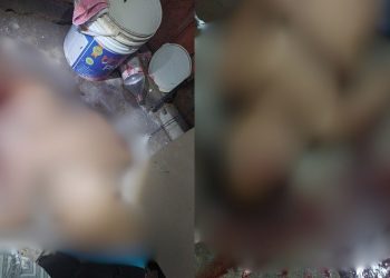 IMAGEM FORTE: Com tiros no rosto, adolescente de 17 anos é assassino no Valparaíso