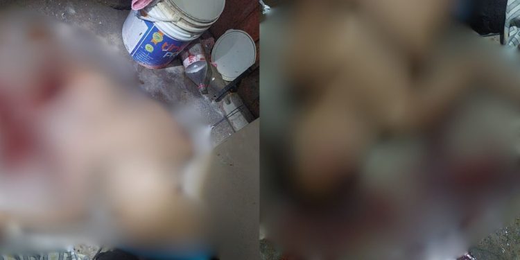 IMAGEM FORTE: Com tiros no rosto, adolescente de 17 anos é assassino no Valparaíso