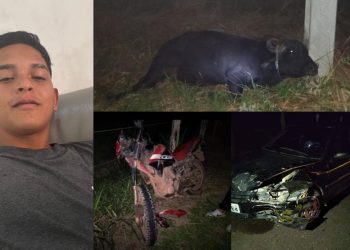 Vídeo: Morre adolescente de 15 anos que colidiu a moto em búfalo em Itacoatiara