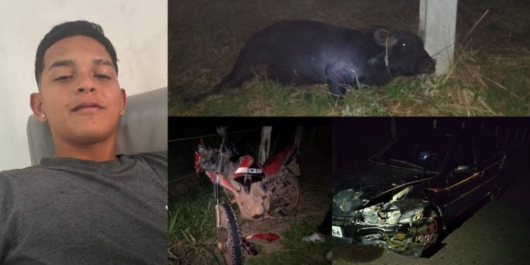 Vídeo: Morre adolescente de 15 anos que colidiu a moto em búfalo em Itacoatiara