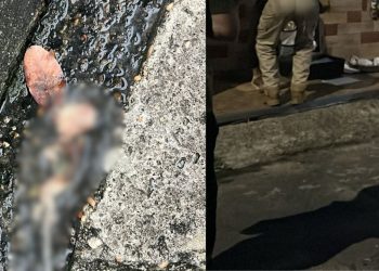 VÍDEO FORTE: Feto é encontrado em córrego no bairro Flores