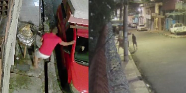 Vídeos mostram pânico de moradores do Santa Luzia durante tiroteio; 2 morreram
