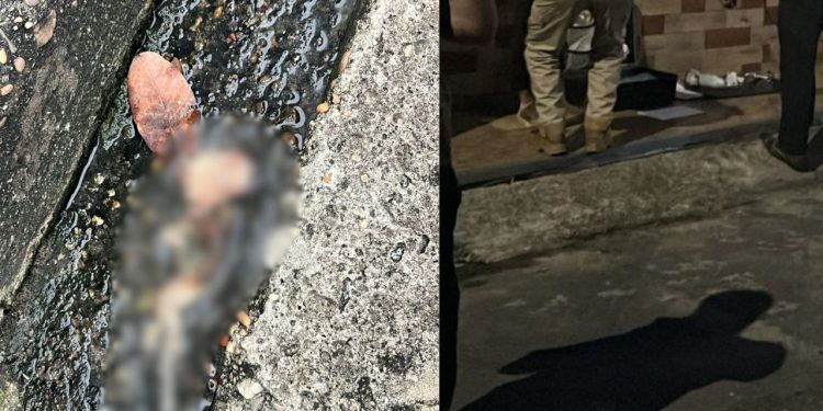 VÍDEO FORTE: Feto é encontrado em córrego no bairro Flores